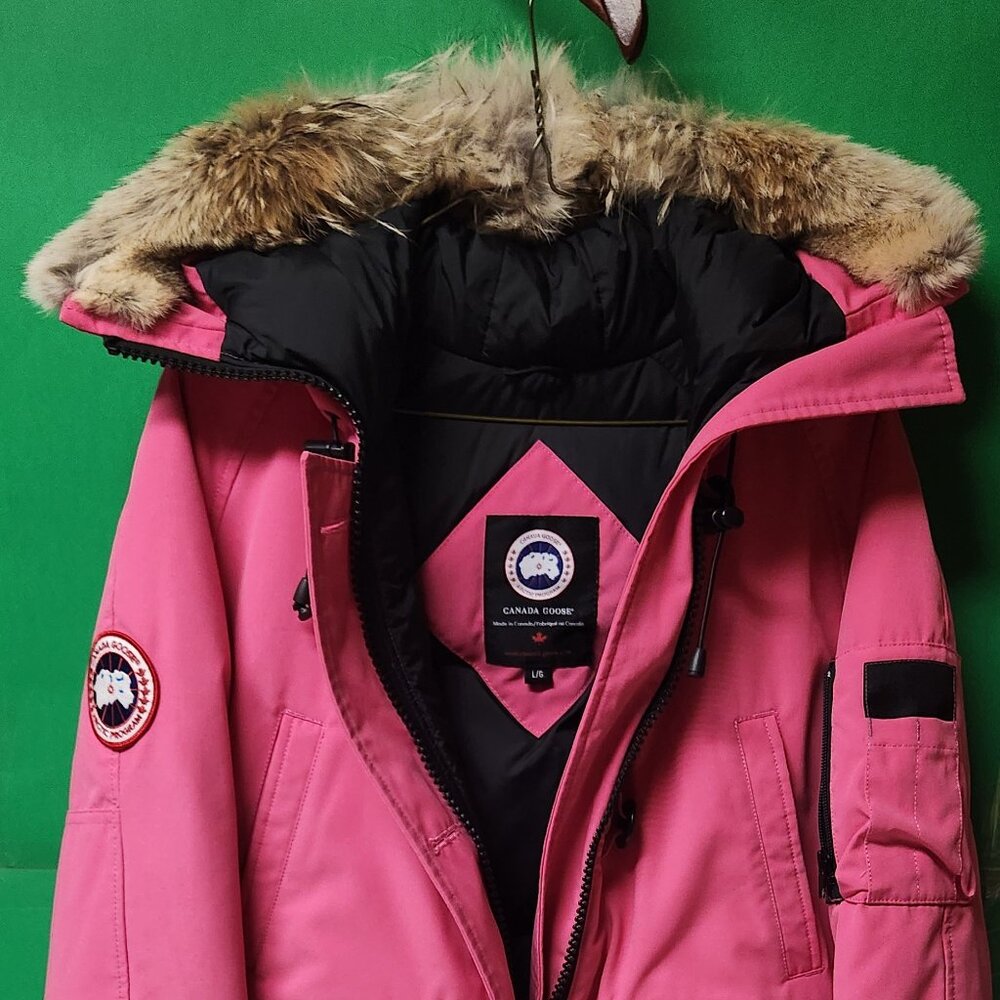 Authentic Canada Goose Chilliwack Bomber Jacket W Lrg Summit Pink with Fur Hood